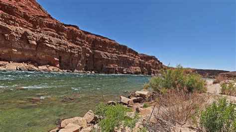 Get Your Arizona Fishing License Today: Everything You Need to .